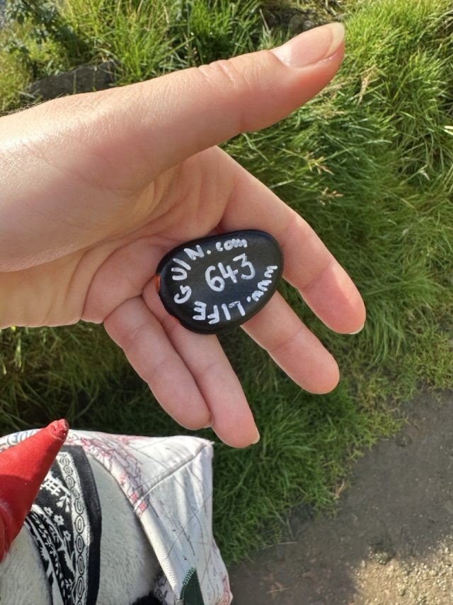 Hand-painted penguin stone #643 hidden at Rock on trail, Kirkjubour, Faroe Islands (photo 2 of 5)