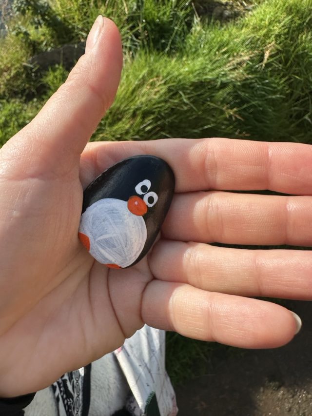 Hand-painted penguin stone #643 hidden at Rock on trail, Kirkjubour, Faroe Islands (photo 3 of 5)