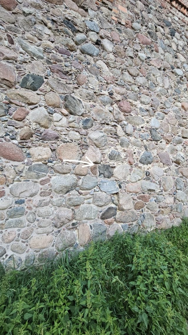 Hand-painted penguin stone #648 hidden at Castle of the Teutonic Order, Bytow, Poland (photo 2 of 5)