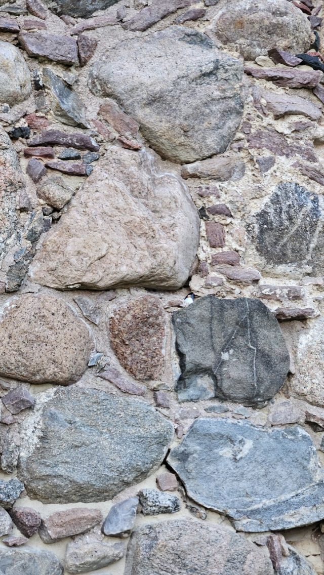 Hand-painted penguin stone #648 hidden at Castle of the Teutonic Order, Bytow, Poland (photo 3 of 5)