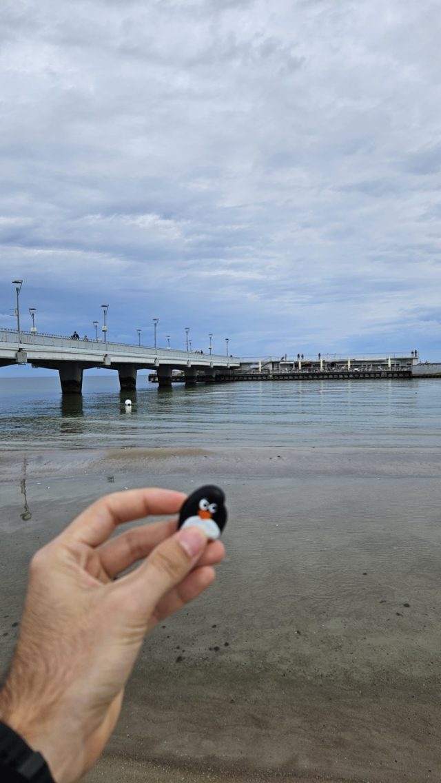Ručne maľovaný tučniakový kameň č. 654 ukrytý na mieste Molo w Kołobrzegu, Kołobrzeg, Poľsko (fotka 4 z 5)