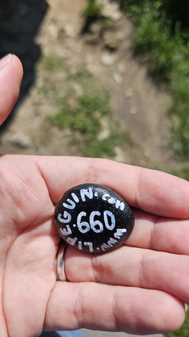 Hand-painted penguin stone #660 hidden at Castle ruins Zviretice, Bakov nad Jizerou, Czechia (photo 2 of 5)