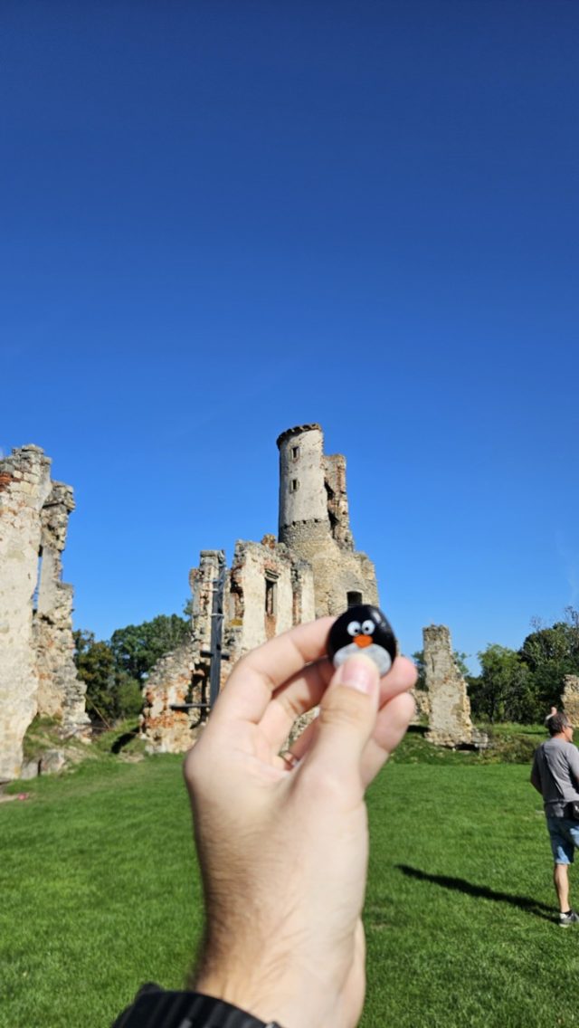 Hand-painted penguin stone #660 hidden at Castle ruins Zviretice, Bakov nad Jizerou, Czechia (photo 3 of 5)