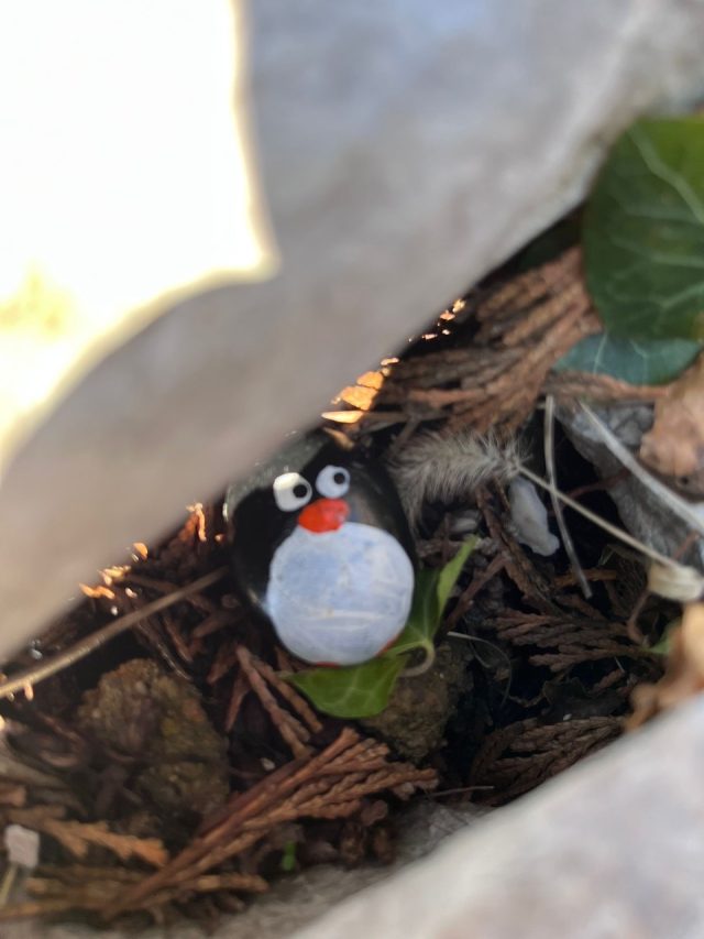 Hand-painted penguin stone #662 hidden at Trsat Castle, Rijeka, Croatia (photo 2 of 5)