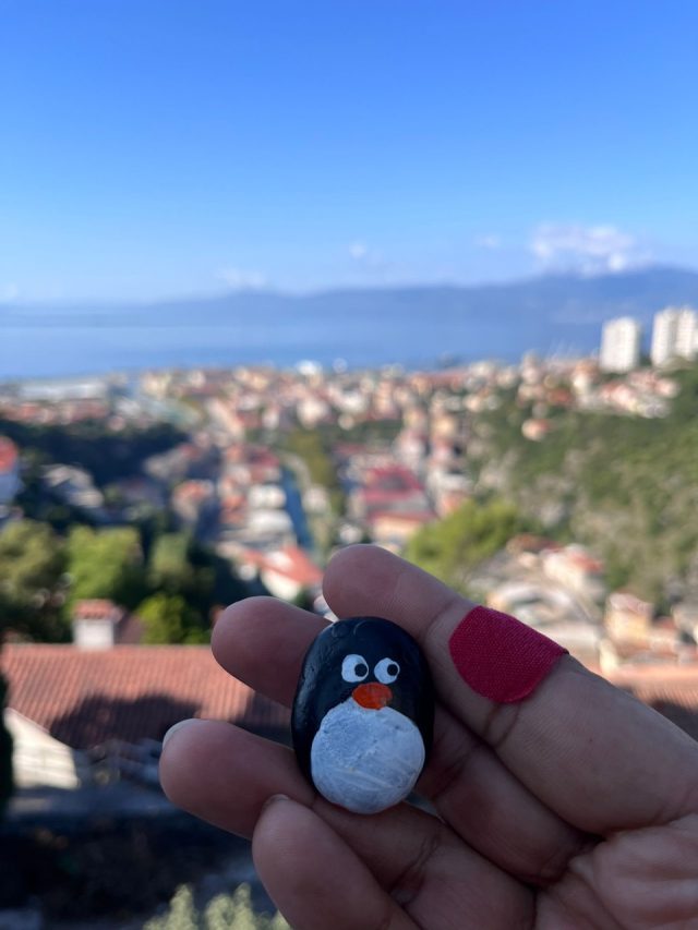 Hand-painted penguin stone #662 hidden at Trsat Castle, Rijeka, Croatia (photo 3 of 5)