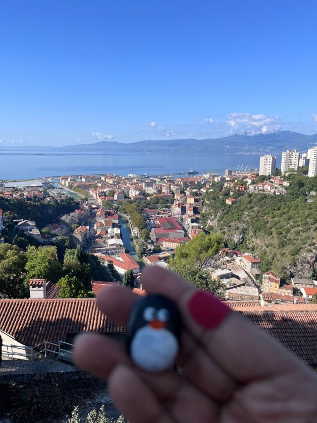 Hand-painted penguin stone #662 hidden at Trsat Castle, Rijeka, Croatia (photo 4 of 5)