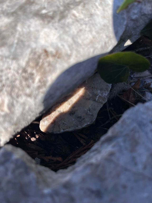 Hand-painted penguin stone #662 hidden at Trsat Castle, Rijeka, Croatia (photo 5 of 5)