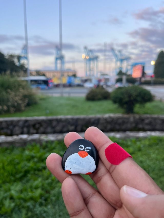 Ručne maľovaný tučniakový kameň č. 663 ukrytý na mieste Park Mlaka, Rijeka, Chorvátsko (fotka 2 z 5)