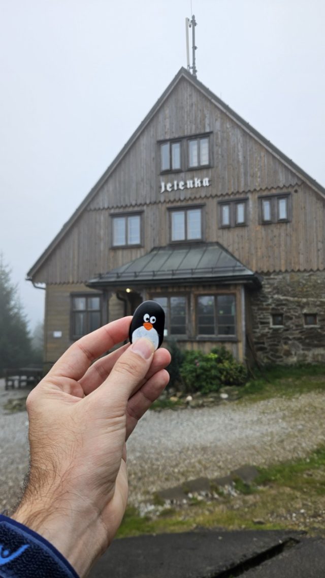 Hand-painted penguin stone #664 hidden at Czech-Polish Border, Mala Upa-Pec pod Snezkou, Czechia (photo 2 of 5)