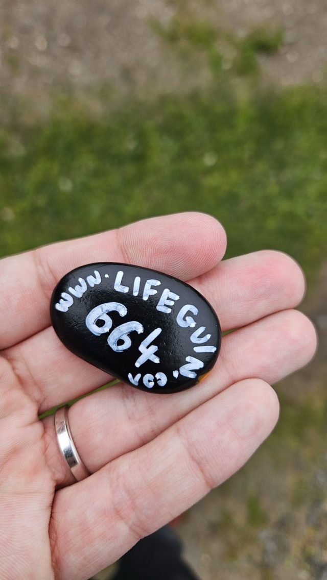Hand-painted penguin stone #664 hidden at Czech-Polish Border, Mala Upa-Pec pod Snezkou, Czechia (photo 3 of 5)