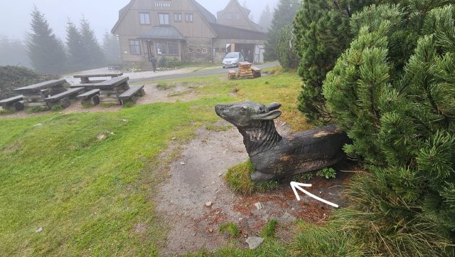 Hand-painted penguin stone #664 hidden at Czech-Polish Border, Mala Upa-Pec pod Snezkou, Czechia (photo 5 of 5)