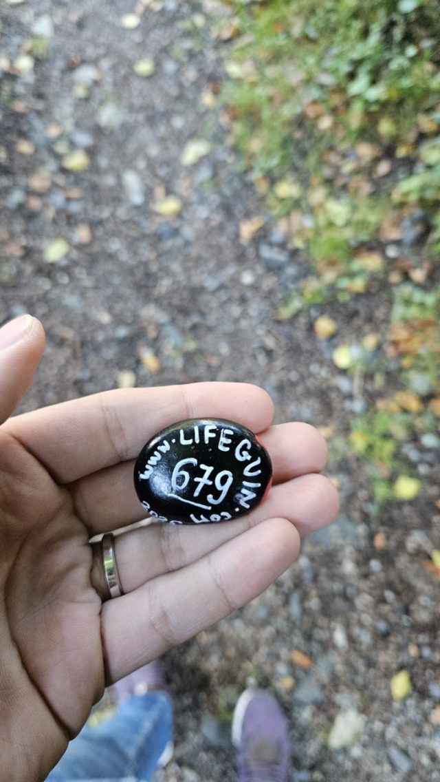 Hand-painted penguin stone #679 hidden at Chalice Rocks, Oybin, Germany (photo 3 of 5)