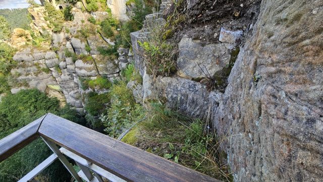 Hand-painted penguin stone #684 hidden at Oybin Castle, Oybin, Germany (photo 3 of 5)