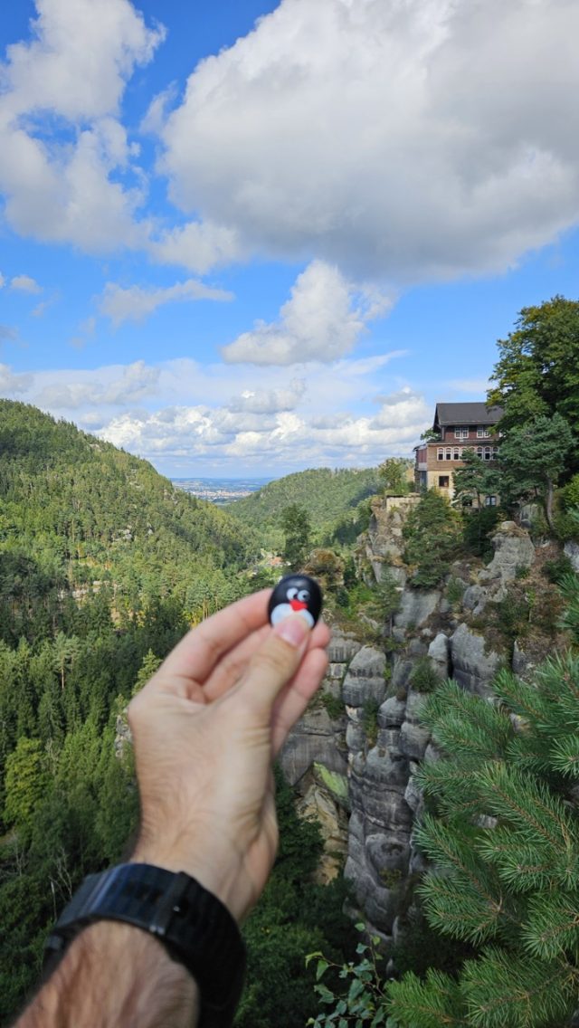 Hand-painted penguin stone #684 hidden at Oybin Castle, Oybin, Germany (photo 4 of 5)