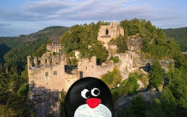 Hand-painted penguin stone #684 hidden at Oybin Castle, Oybin, Germany (photo 5 of 5)