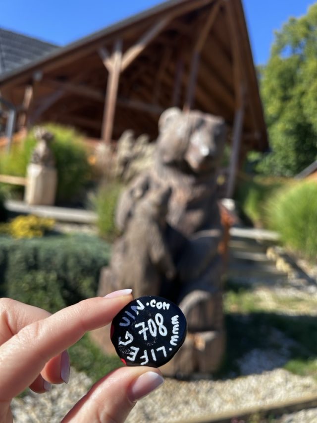 Hand-painted penguin stone #708 hidden at Salas Viglas, Near Bojnice, Slovakia (photo 2 of 5)