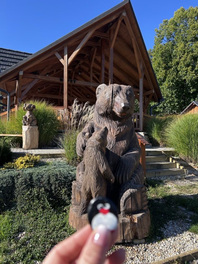 Hand-painted penguin stone #708 hidden at Salas Viglas, Near Bojnice, Slovakia (photo 5 of 5)