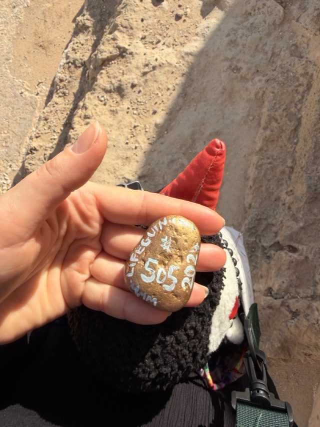 Hand-painted penguin stone #505 hidden at Roman Odeon, Paphos, Cyprus (photo 3 of 5)