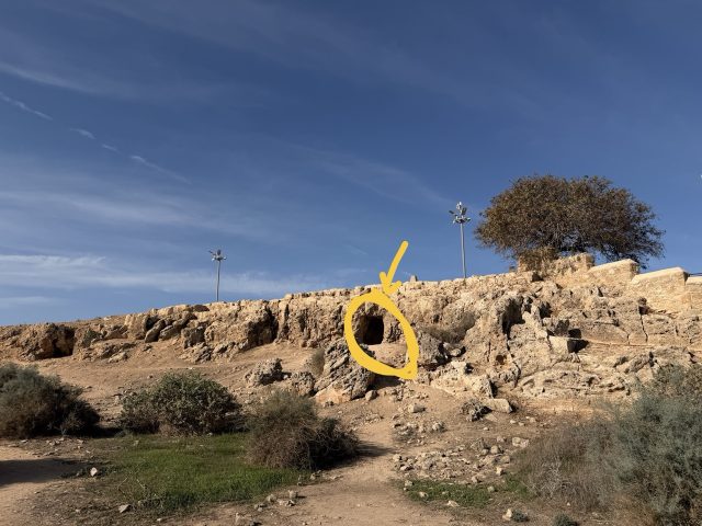 Hand-painted penguin stone #505 hidden at Roman Odeon, Paphos, Cyprus (photo 4 of 5)