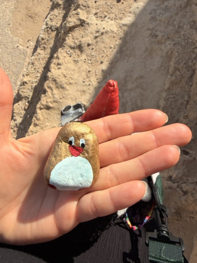 Hand-painted penguin stone #505 hidden at Roman Odeon, Paphos, Cyprus (photo 5 of 5)