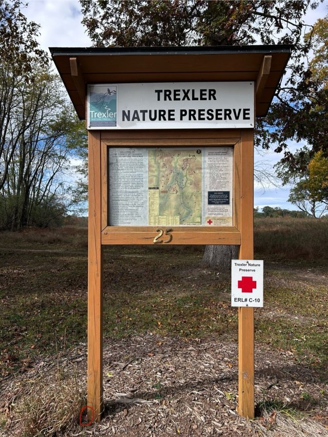 Hand-painted penguin stone #623 hidden at Trexler Nature Preserve, Pennsylvania, United States (photo 2 of 5)