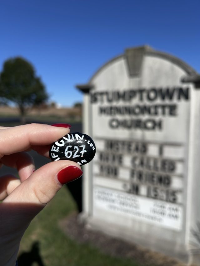 Hand-painted penguin stone #627 hidden at Stumptown Mennonite Church, Amish County, United States (photo 2 of 5)