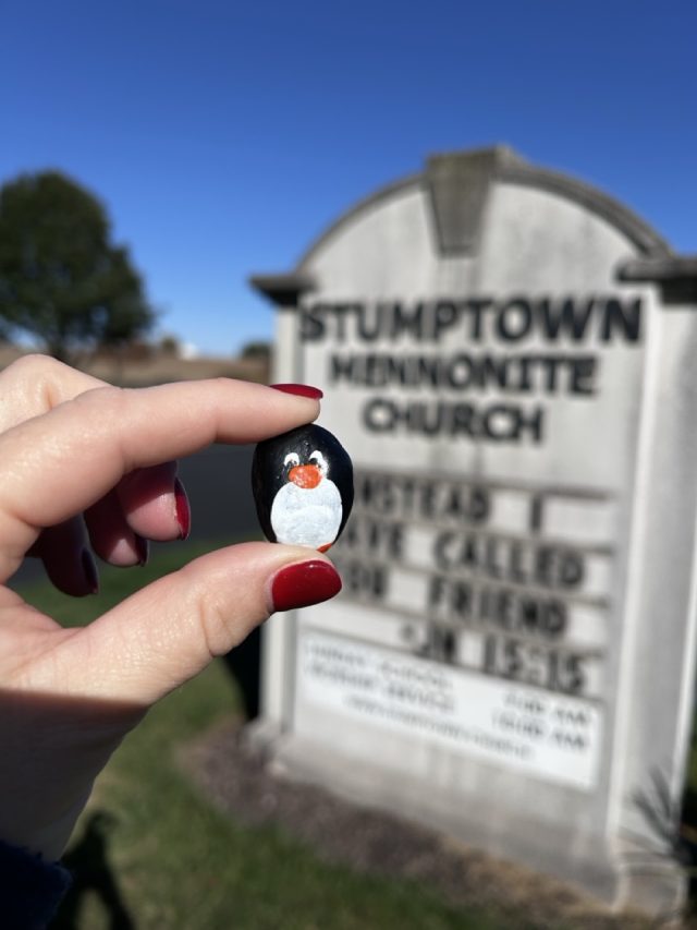Hand-painted penguin stone #627 hidden at Stumptown Mennonite Church, Amish County, United States (photo 3 of 5)