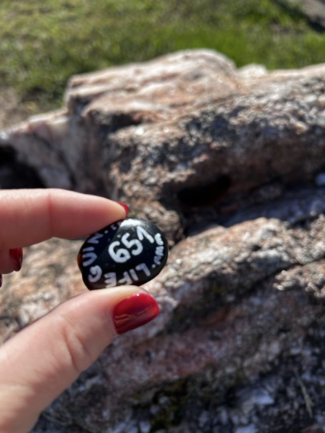 Hand-painted penguin stone #651 hidden at Bird in Hand Farm Supply, Amish county, United States (photo 4 of 5)