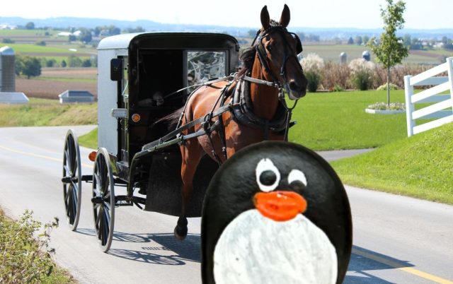 Ručne maľovaný tučniakový kameň č. 651 ukrytý na mieste Bird in Hand Farm Supply, Amish county, Spojené štáty