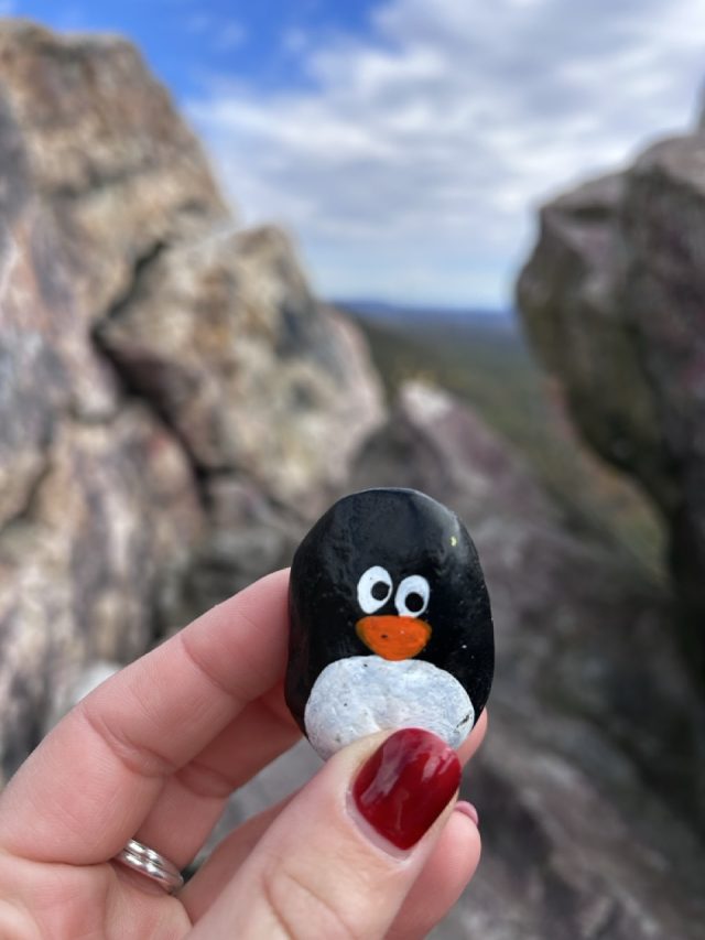 Hand-painted penguin stone #659 hidden at Bale Oven Knob Viewpoint, Pennsylvania, United States (photo 3 of 5)