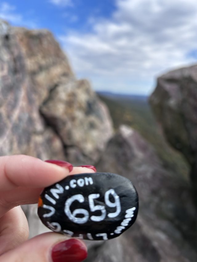 Hand-painted penguin stone #659 hidden at Bale Oven Knob Viewpoint, Pennsylvania, United States (photo 4 of 5)