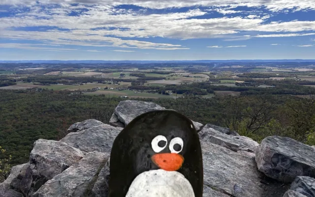 Hand-painted penguin stone #659 hidden at Bale Oven Knob Viewpoint, Pennsylvania, United States