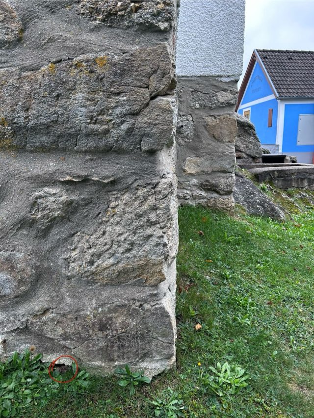 Hand-painted penguin stone #675 hidden at White Chapel, Wornharts, Austria (photo 3 of 5)