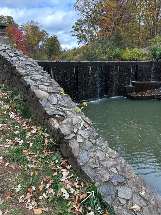 Hand-painted penguin stone #680 hidden at Seeley's Waterfall, New Jersey, United States (photo 3 of 5)