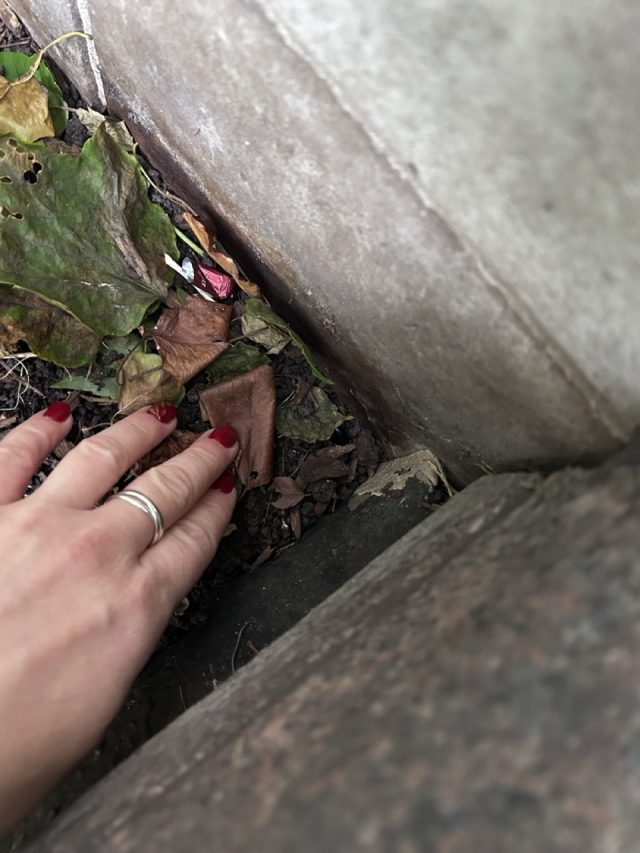 Hand-painted penguin stone #696 hidden at Chicago Riverwalk, Illinois, United States (photo 5 of 5)