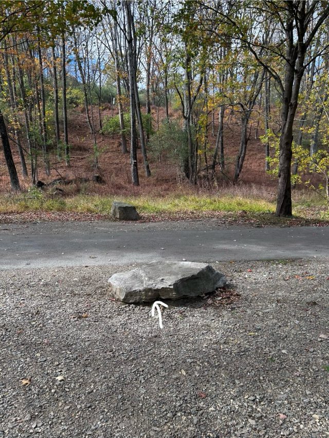 Hand-painted penguin stone #698 hidden at Jordan Creek, Trexler Nature Preserve, United States (photo 2 of 5)