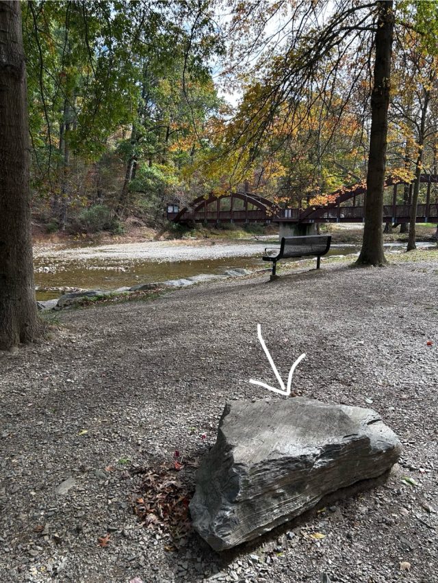 Hand-painted penguin stone #698 hidden at Jordan Creek, Trexler Nature Preserve, United States (photo 3 of 5)