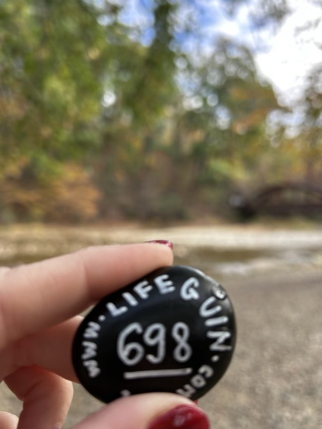 Hand-painted penguin stone #698 hidden at Jordan Creek, Trexler Nature Preserve, United States (photo 4 of 5)