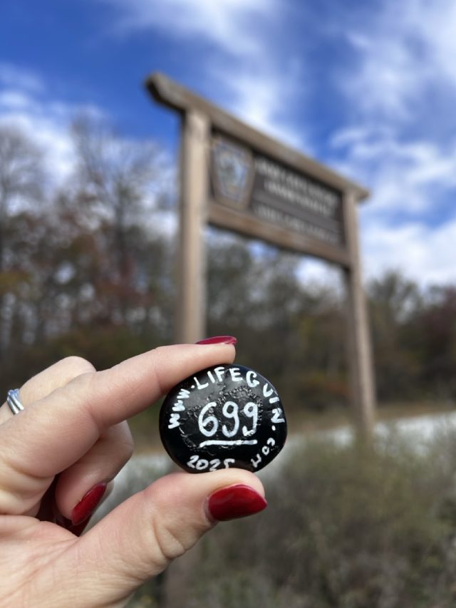 Hand-painted penguin stone #699 hidden at Bale Oven Knob, Pennsylvania, United States (photo 3 of 5)