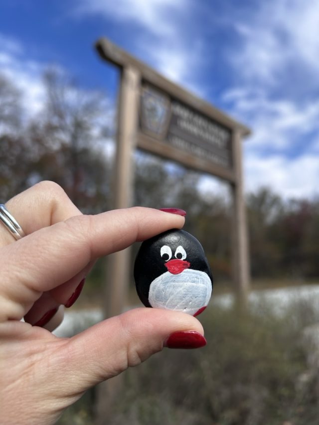 Hand-painted penguin stone #699 hidden at Bale Oven Knob, Pennsylvania, United States (photo 4 of 5)
