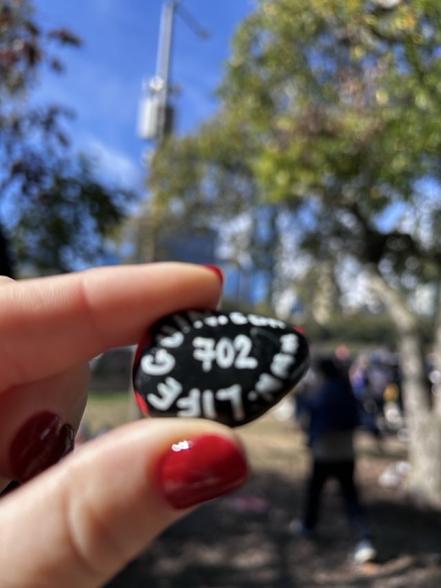 Hand-painted penguin stone #702 hidden at Butler Field, Chicago Illinois, United States (photo 3 of 5)