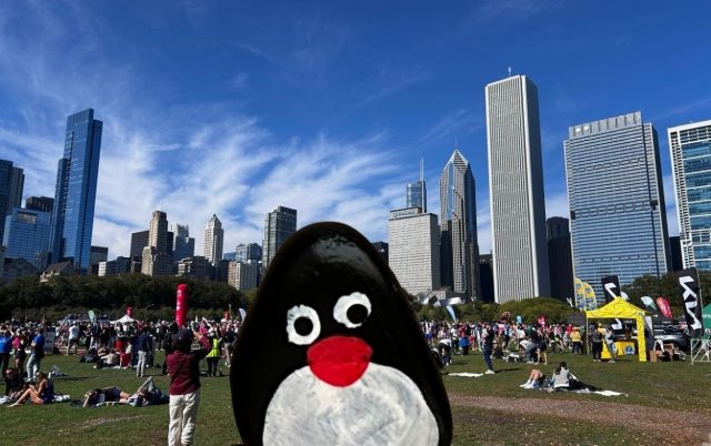 Ručne maľovaný tučniakový kameň č. 702 ukrytý na mieste Butler Field, Chicago Illinois, Spojené štáty