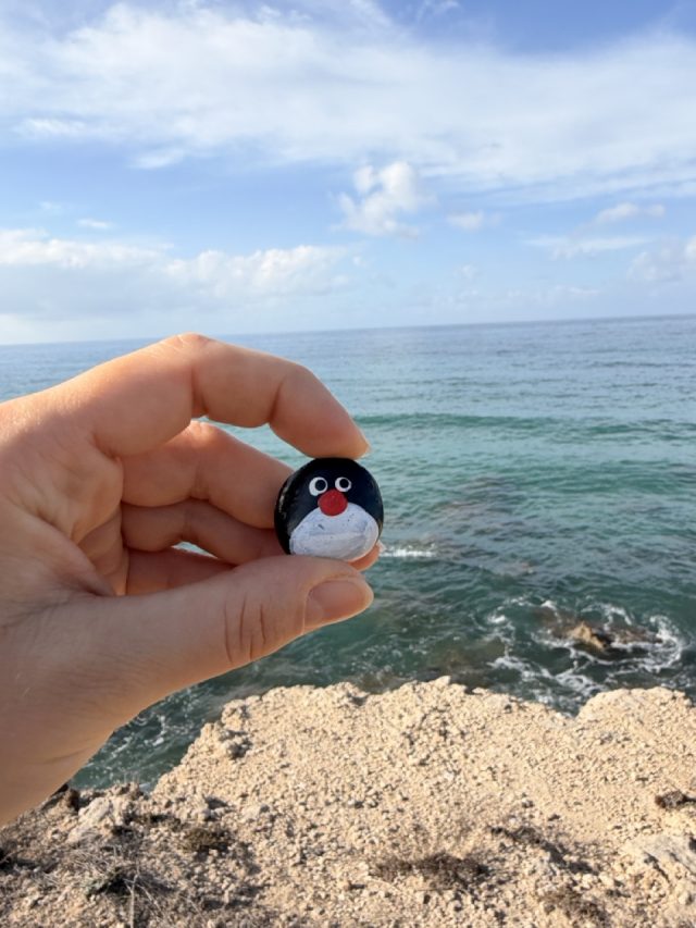 Hand-painted penguin stone #703 hidden at Stone at Viewpoint, Paphos, Cyprus (photo 3 of 5)
