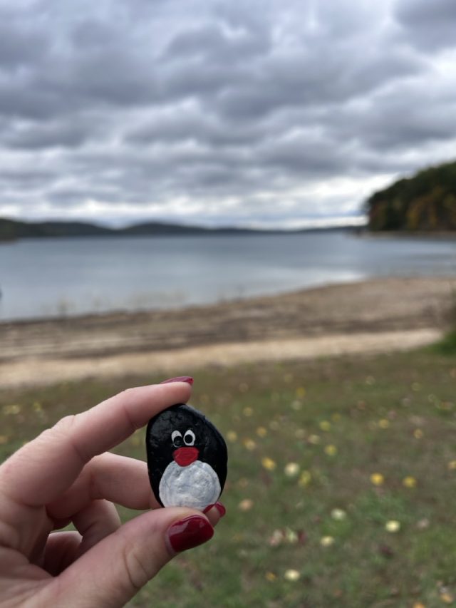 Hand-painted penguin stone #709 hidden at Round Valley Reservoir, New Jersey, United States (photo 3 of 5)