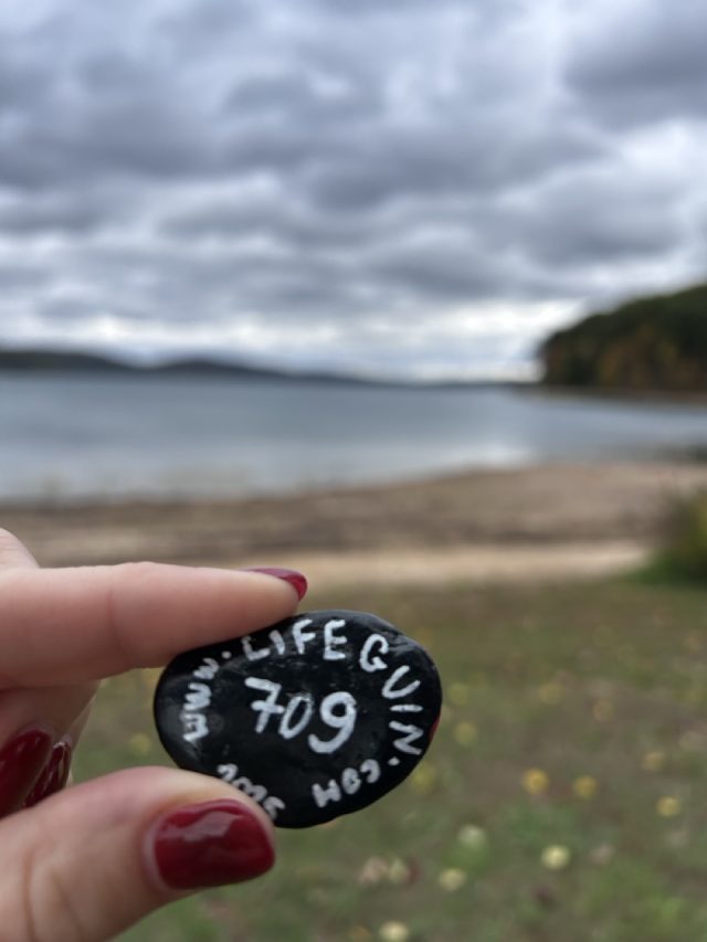 Hand-painted penguin stone #709 hidden at Round Valley Reservoir, New Jersey, United States (photo 4 of 5)