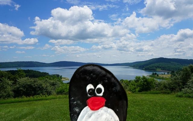 Hand-painted penguin stone #709 hidden at Round Valley Reservoir, New Jersey, United States