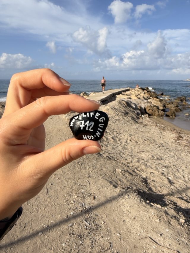 Hand-painted penguin stone #712 hidden at Palm Tree, Paphos, Cyprus (photo 2 of 5)