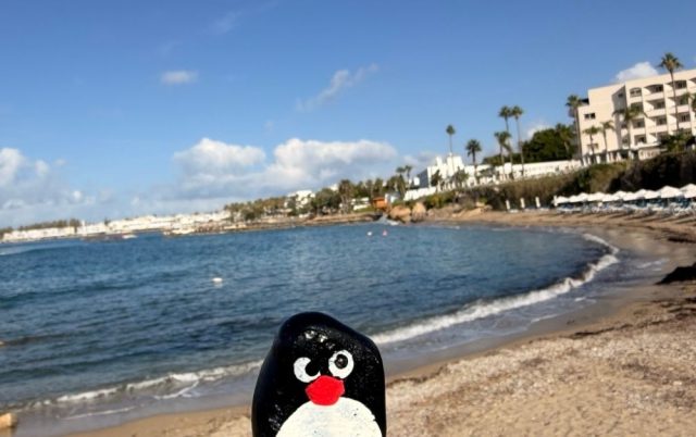 Hand-painted penguin stone #712 hidden at Palm Tree, Paphos, Cyprus