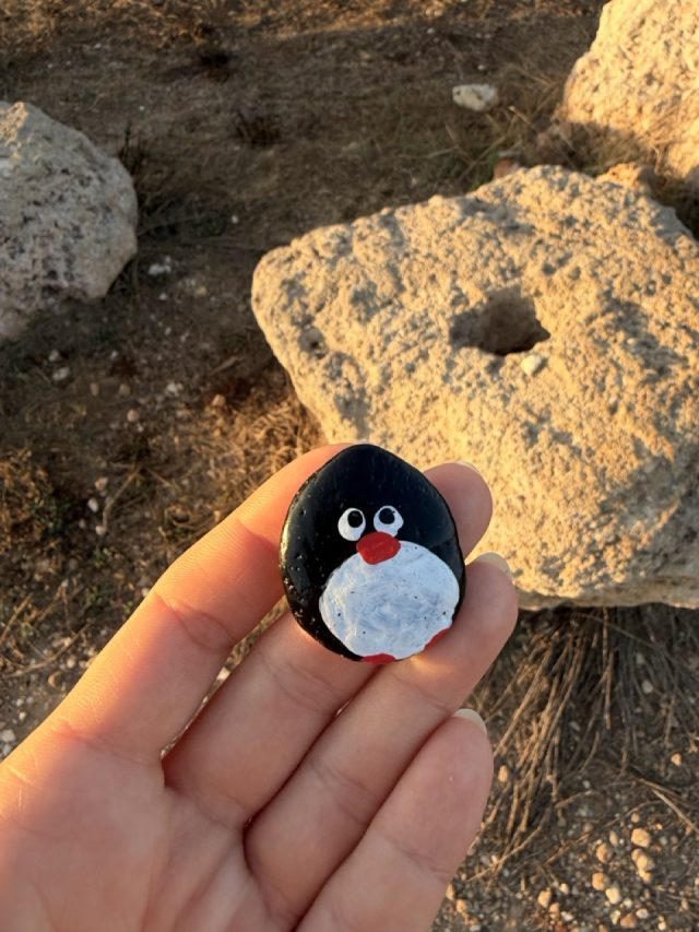 Hand-painted penguin stone #714 hidden at Seaside, Paphos, Cyprus (photo 2 of 5)
