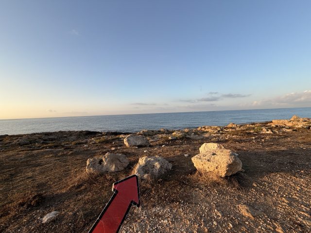 Hand-painted penguin stone #714 hidden at Seaside, Paphos, Cyprus (photo 3 of 5)